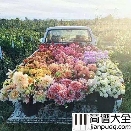 爱的纪念钢琴谱_克莱德曼_童年的回忆,爱的纪念曲