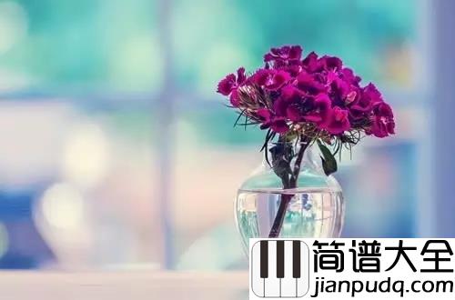 其实你不懂我的心钢琴谱_童安格_经典老歌怀旧风