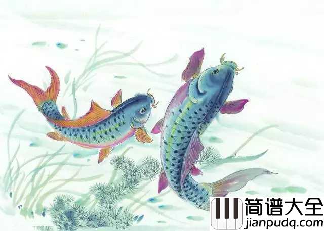 非鱼钢琴谱_五色石南叶/慕寒_子非鱼,如何知我心何