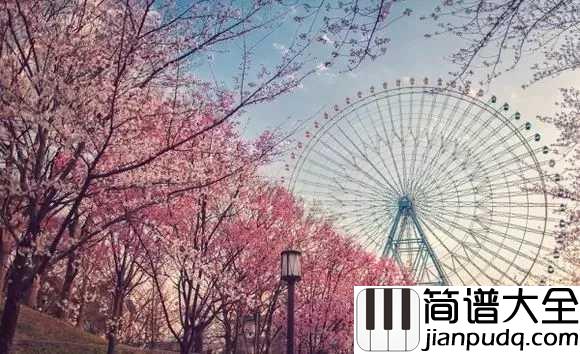 _樱花粉的浪漫|钢琴谱_周杰伦御用制作人为二珂倾情制作,诠释初恋般飘着樱花粉的浪漫