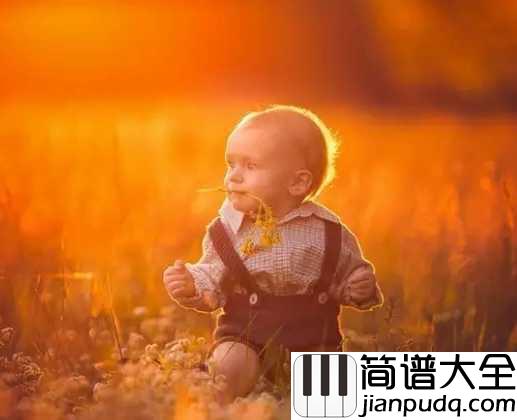 金色童年钢琴谱_杨烁_梦回金色童年,回首儿时往事