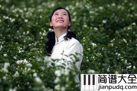 茉莉花钢琴谱_送来春日茉莉香,唤醒清晨