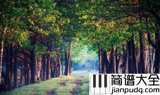 森林狂想曲五线谱_探索音乐的天堂,感受原始的魅力