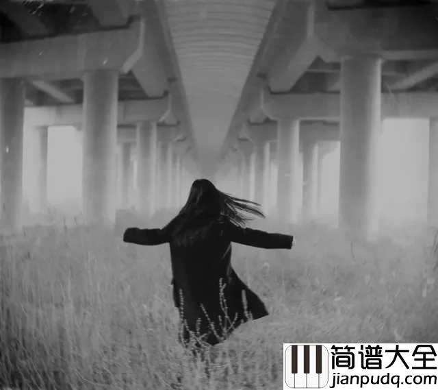 The_truth_that_you_leave钢琴谱_这首钢琴曲,曾有无数人为它填词