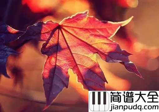 秋意浓钢琴谱_李幸倪_有诗意的季节,你风情万种