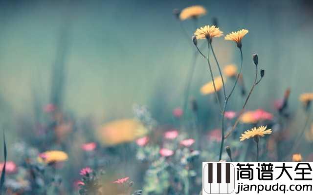 简单爱钢琴谱_周杰伦__一首写进心里的歌