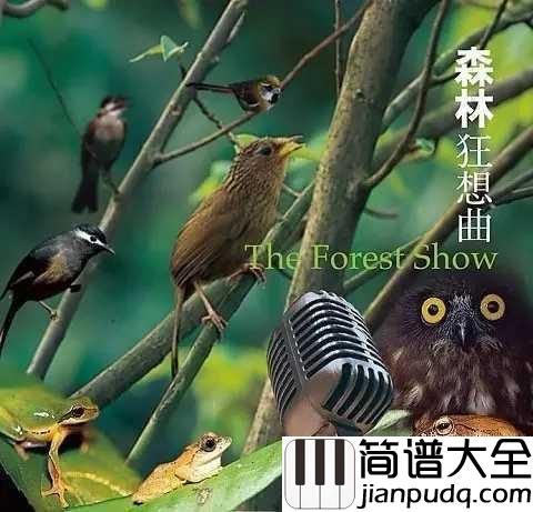 森林狂想曲五线谱_探索音乐的天堂,感受原始的魅力