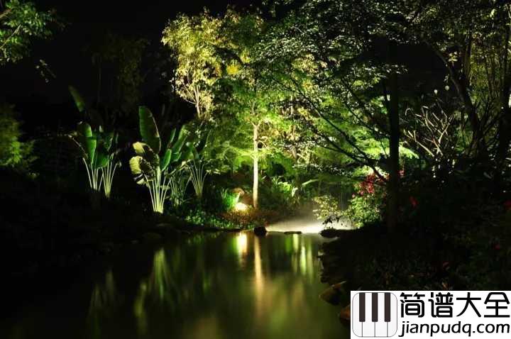 森林狂想曲五线谱_探索音乐的天堂,感受原始的魅力