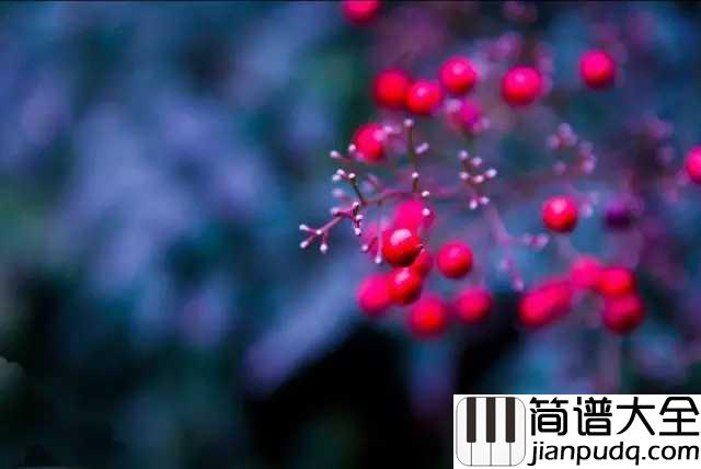 相思钢琴谱_毛阿敏_红豆生南国,是很遥远的事情