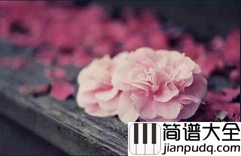 花儿落了钢琴谱_林海_花落了,忘记了,满怀感伤的眸,流出泪滴