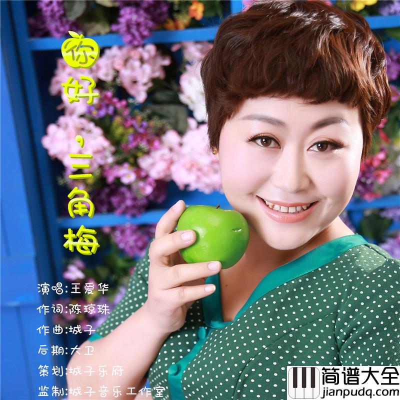 你好,三角梅简谱(歌词)_王爱华