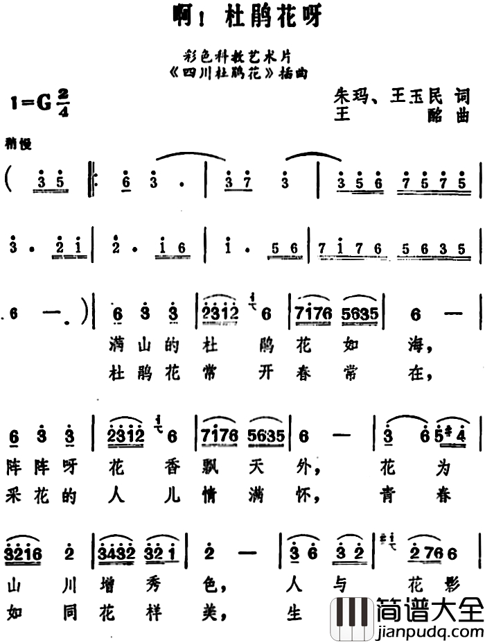 啊！杜鹃花呀简谱_李谷一演唱_科教片_四川杜鹃花_插曲