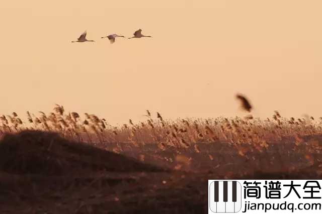 思乡曲简谱_理查德·克莱德曼_故乡,就象是缭绕在我心头的一种思绪
