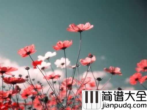 生如夏花简谱_朴树_生如夏花之绚烂,死若秋叶之静美