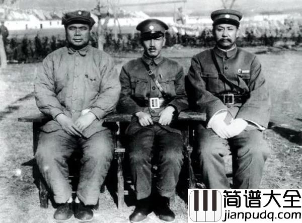 两只老虎简谱_儿歌_惊呆了两只老虎背后竟然有这样的故事