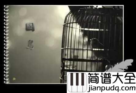 囚鸟简谱_彭羚_这无味的日子,眼泪是唯一的奢侈