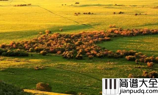 我和草原有个约定简谱_降央卓玛_歌声悠扬,情意无限
