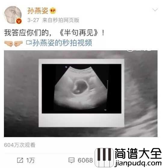 半句再见简谱_孙燕姿二胎喜添小公举，儿女双全的她下次再见会是何时