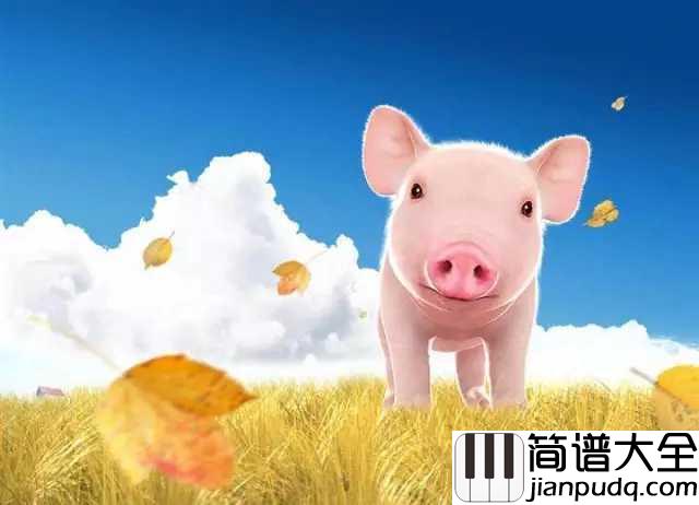 猪之歌简谱_香香_猪头猪脑猪身猪尾巴,从来不挑食的乖娃娃