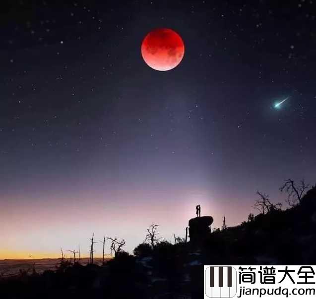 远方的寂静简谱_林海|从远方而来,寂静无声的思念