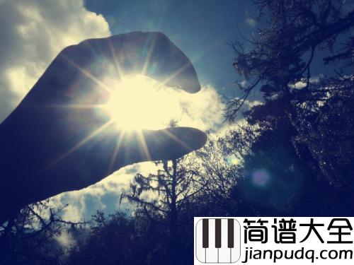 手心的太阳简谱_张韶涵_让我做你手心的太阳,陪你细水长流