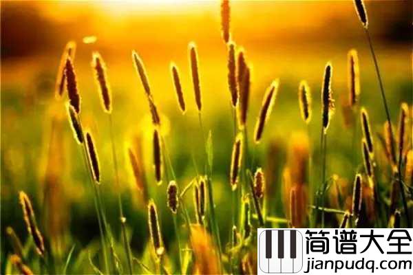 小草简谱__杨烁____70、80年代听过最多的歌曲