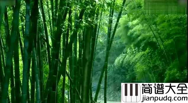 月光下的凤尾竹简谱_傣族民歌节奏舒缓,优美动听