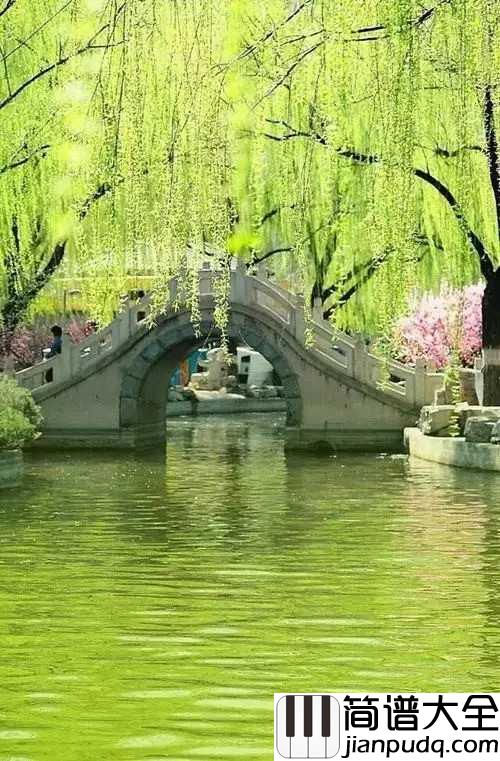 杨柳简谱_林海__半是情丝,半是愁丝,织就相思