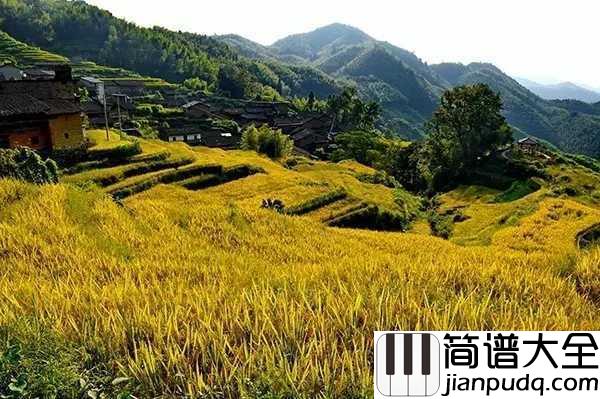 在希望的田野上简谱___殷秀梅__种下希望,收获梦想
