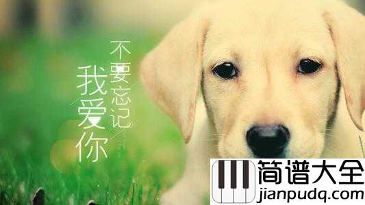 不要忘记我爱你简谱__张碧晨__我爱你,我希望你可以陪我久一点。