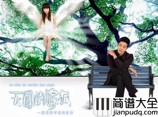 花的嫁纱简谱_王心凌爱在孤独中绝望,在绝望中坚强