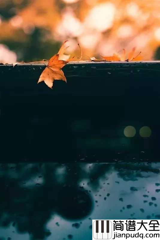 雨的印记简谱_超唯美演奏,感觉世界好安静