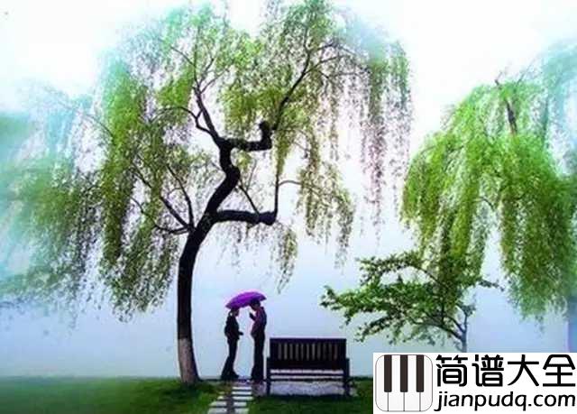 杨柳简谱_林海__半是情丝,半是愁丝,织就相思