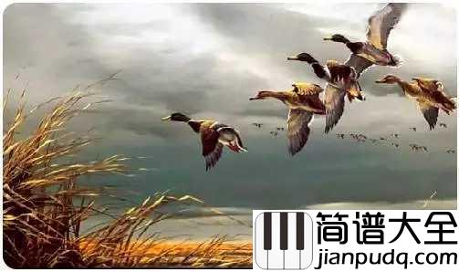 雁南飞简谱__单秀荣___秋已至,望珍重