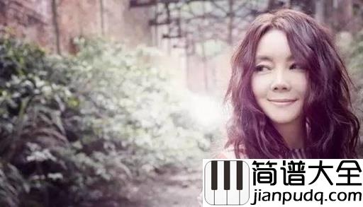 领悟简谱_辛晓琪_经历了全部才懂得明白,这是多么痛的领悟
