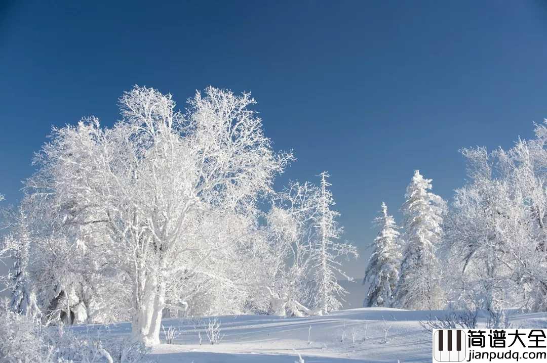 我爱你塞北的雪简谱___彭丽媛___飘飘洒洒的北国风光尽现眼前