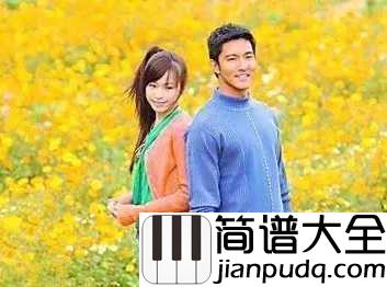 花的嫁纱简谱_王心凌爱在孤独中绝望,在绝望中坚强