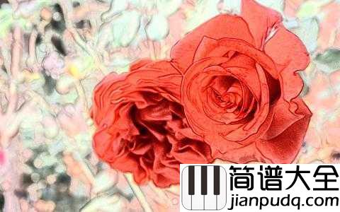 the_rose简谱_Bette_Midler___爱是利刃、我未曾拥有过他一秒,心里却失去过千万次