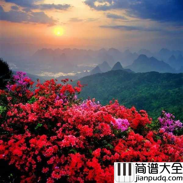 映山红简谱_宋祖英_送给那些夜半三更盼天明的人啊