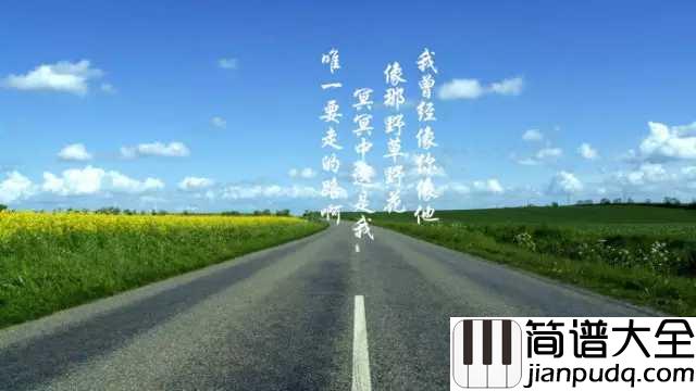 平凡之路简谱_朴树_电影_后会无期_主题曲