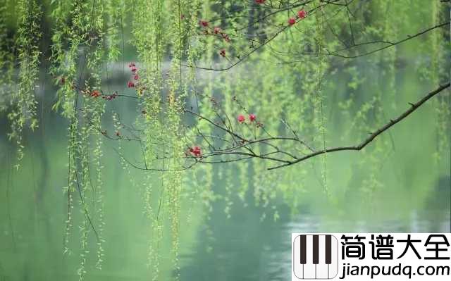 杨柳简谱_林海__半是情丝,半是愁丝,织就相思