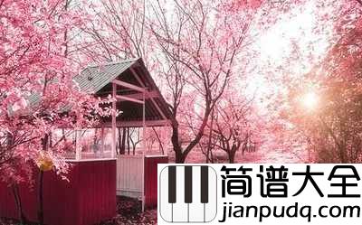 樱花樱花想见你简谱_Pop_遇见你真好!
