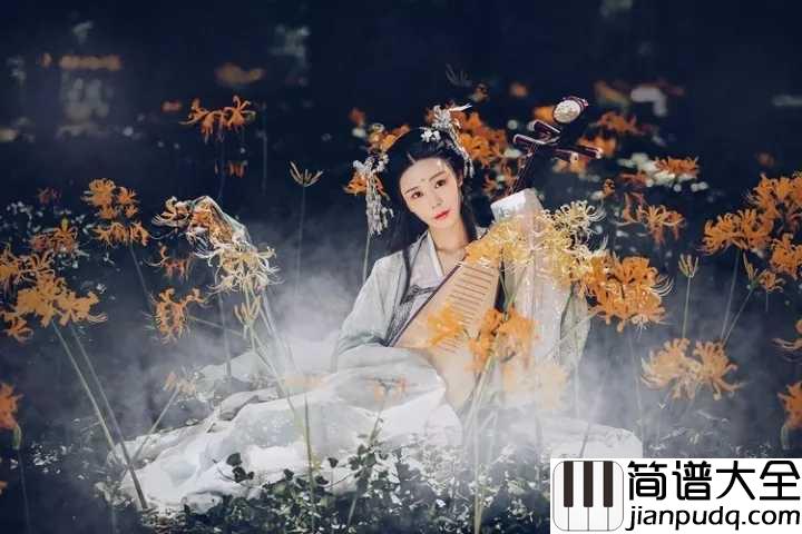 琵琶语简谱_柔情似水长相守,情愫如弦牵人意