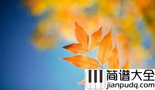 好大一棵树简谱_那英_头顶一个天_脚踏一方土