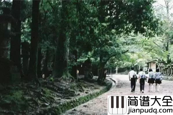 失去的青春简谱_何流_青春留不住,岁月总匆忙