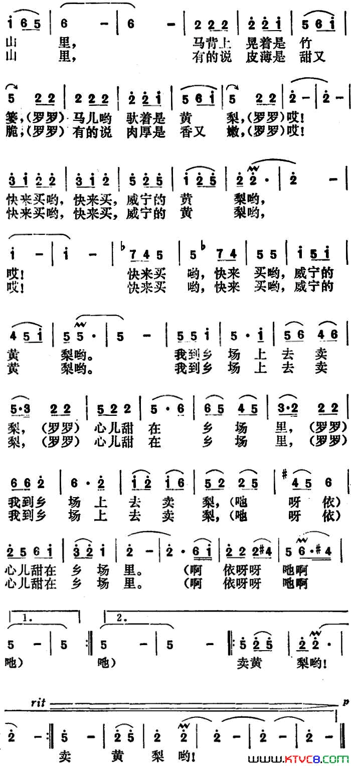 卖黄梨简谱