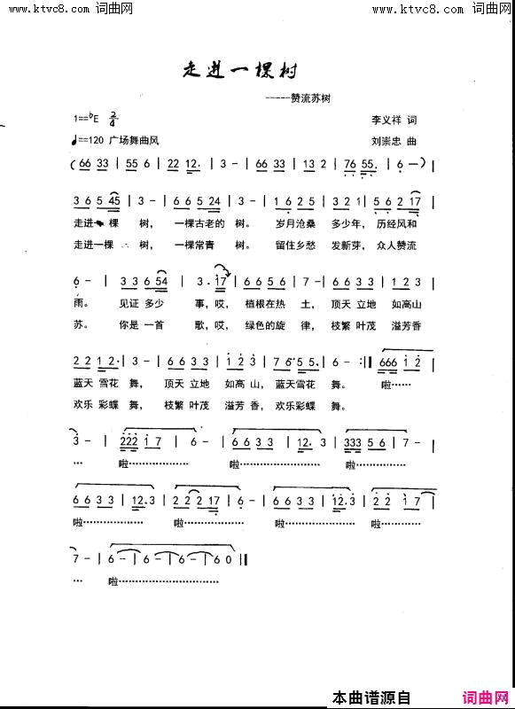 走进一棵树简谱