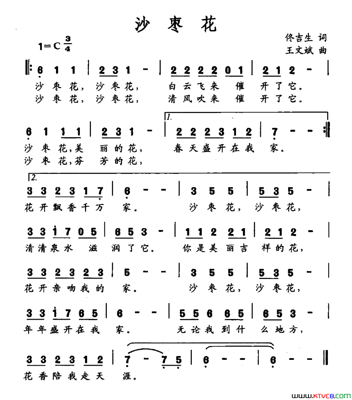 沙枣简谱