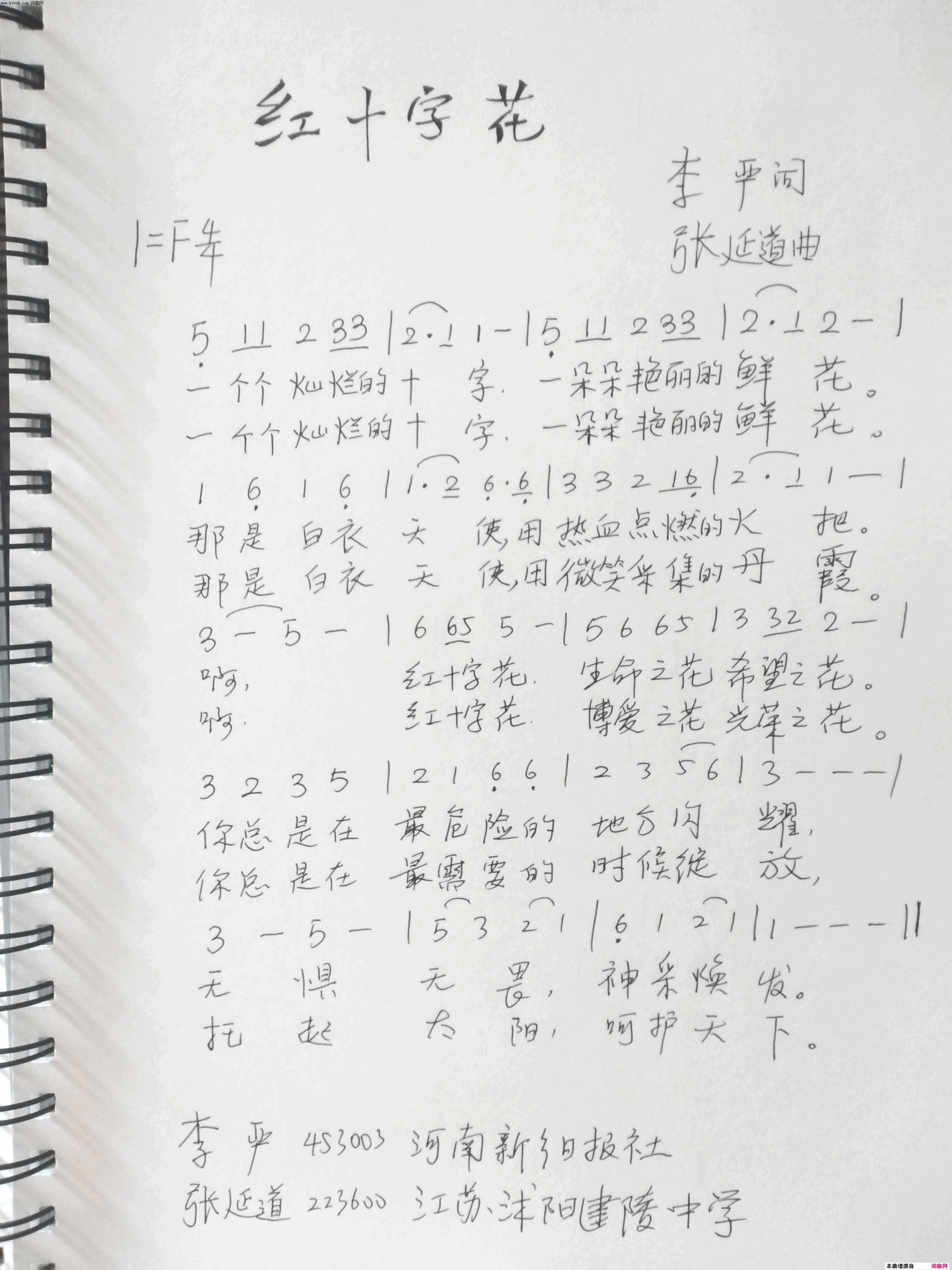 红十字花简谱