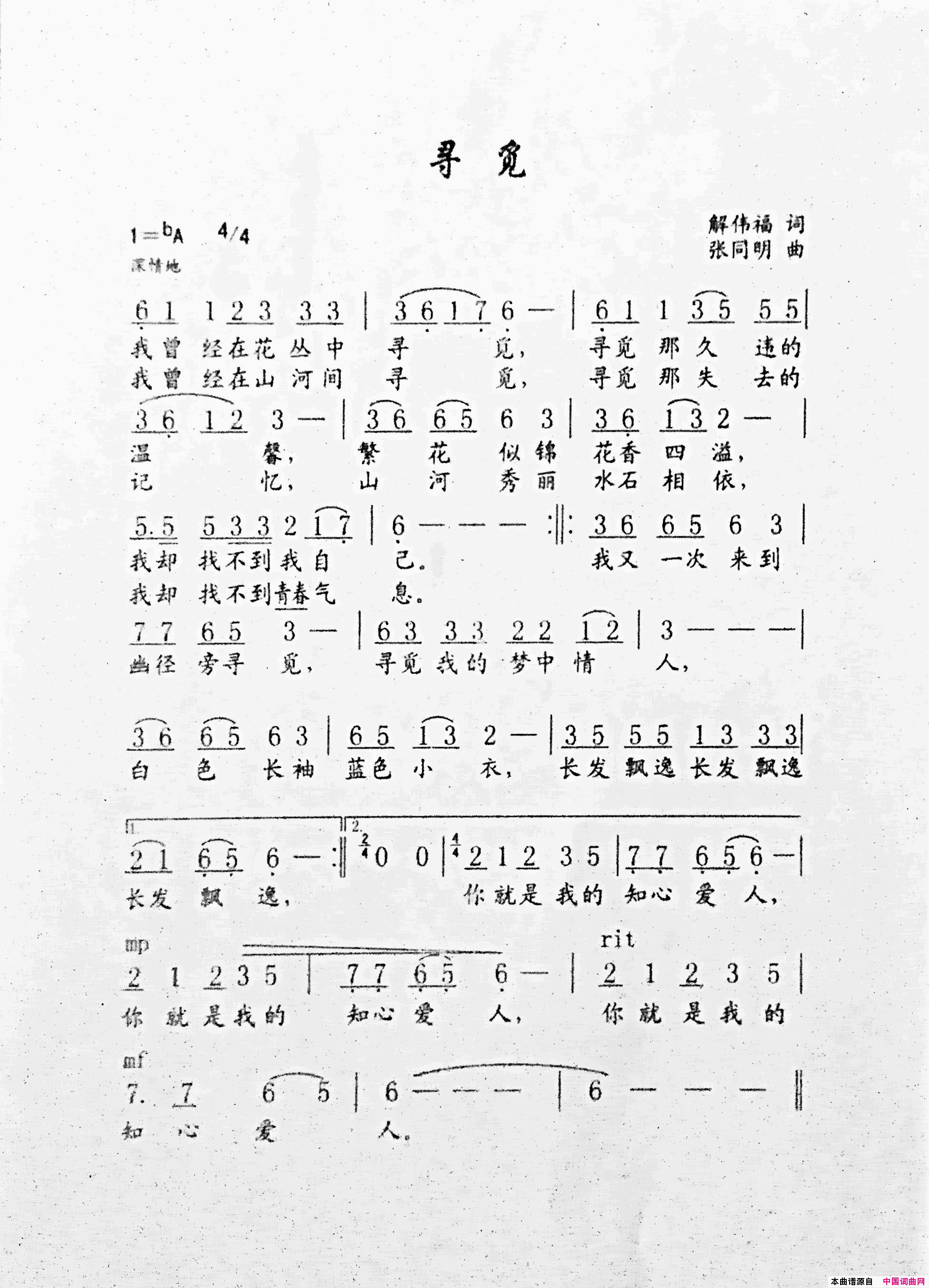 寻觅简谱